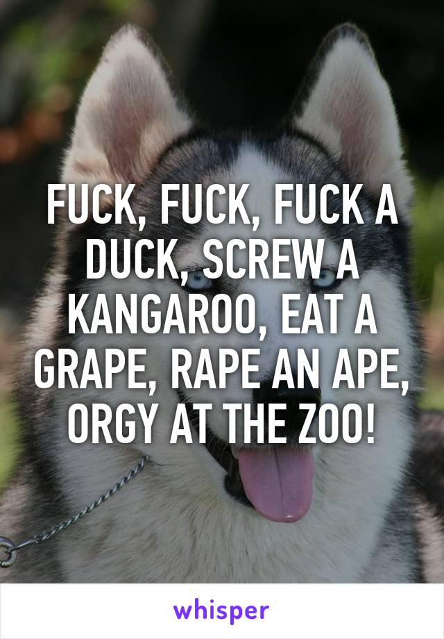 Kangaroo Orgy